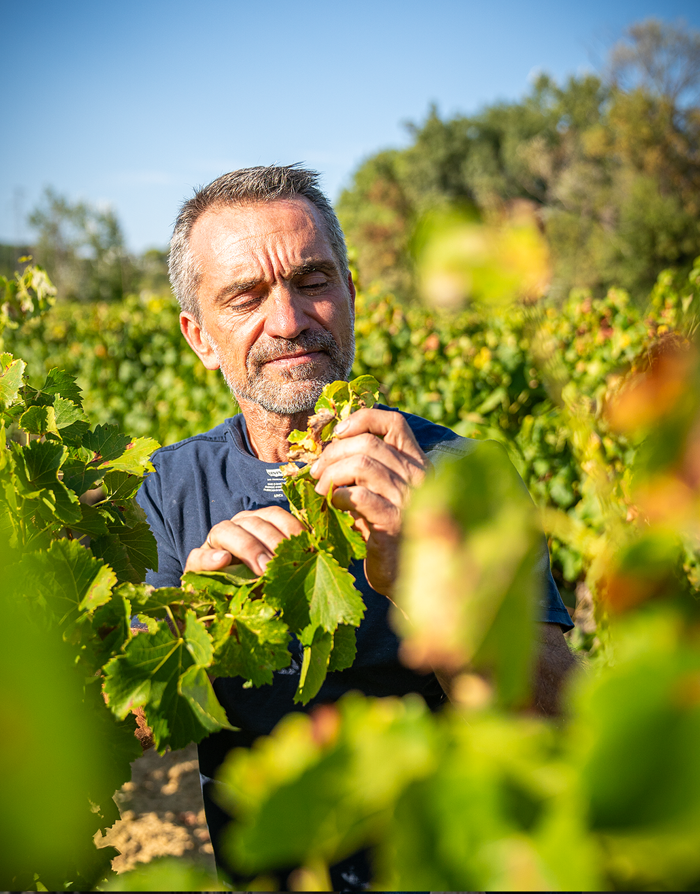 Portrait domaine Grand-Chemin