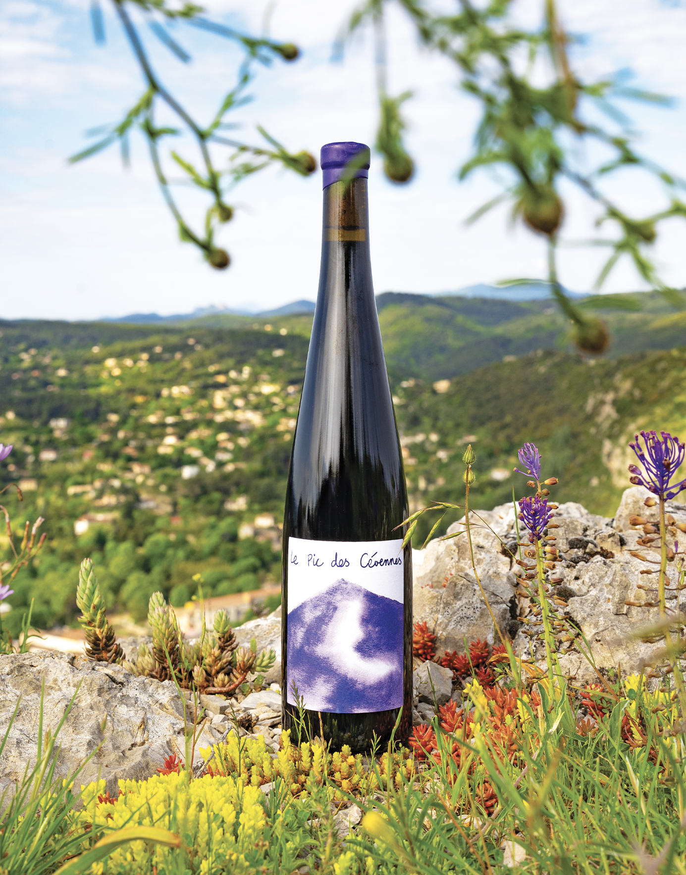 Berguerolles Shooting vin signature domaine Bos de Canna