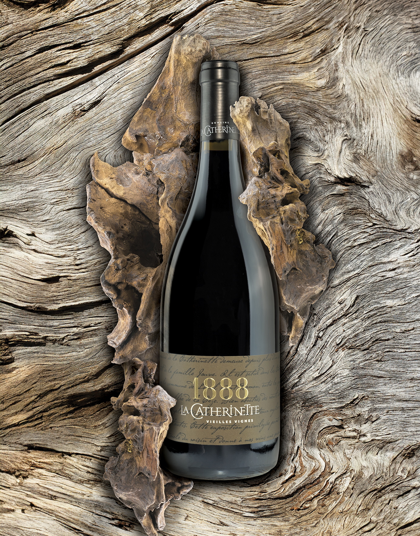 Catherinette Shooting vin signature Mas Seren