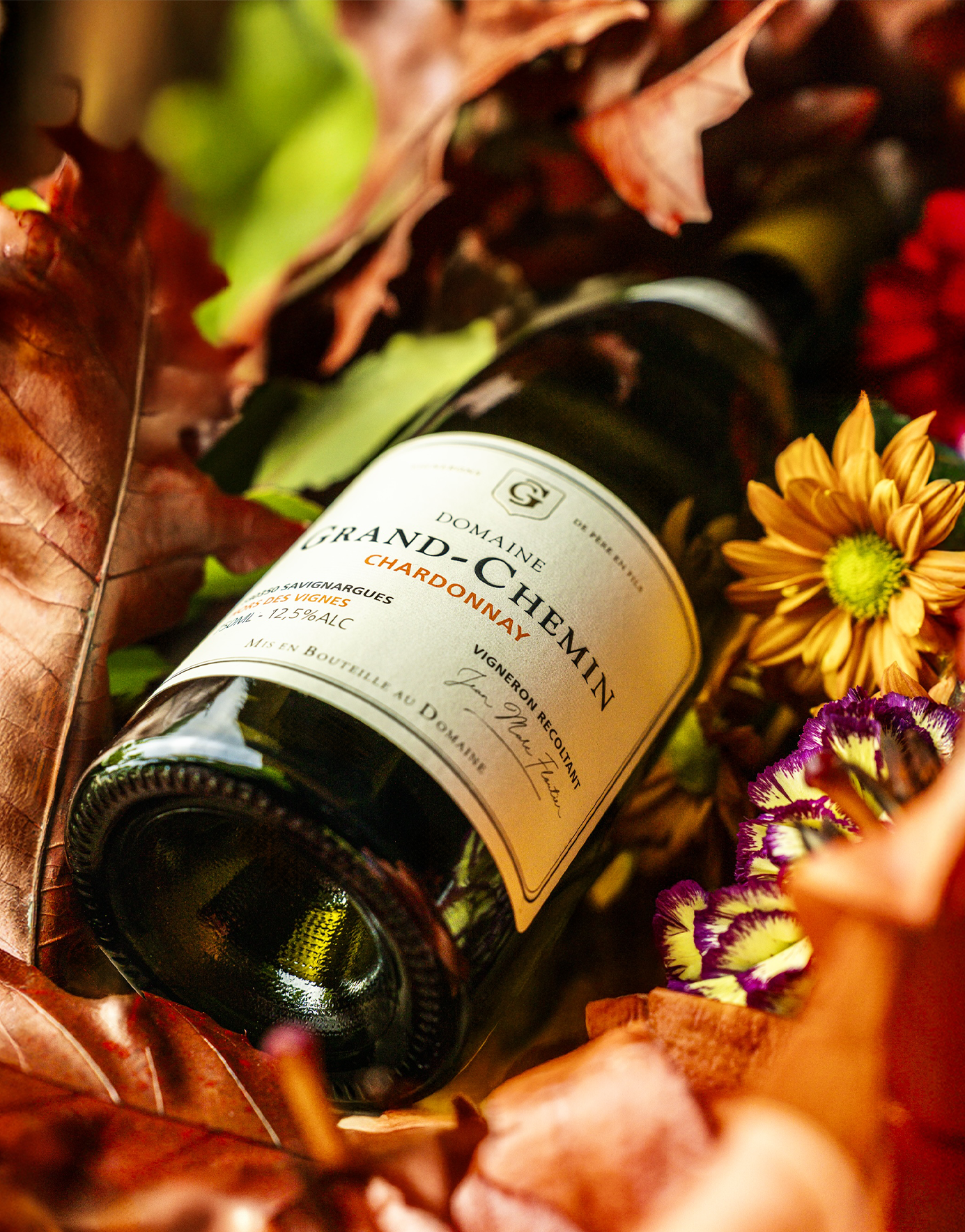 GD Shooting vin signature La Tour de Gâtigne